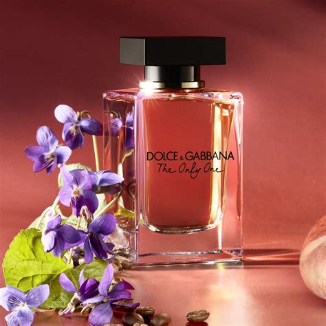 dolce gabbana the one für damen|Dolce & Gabbana the one notes.